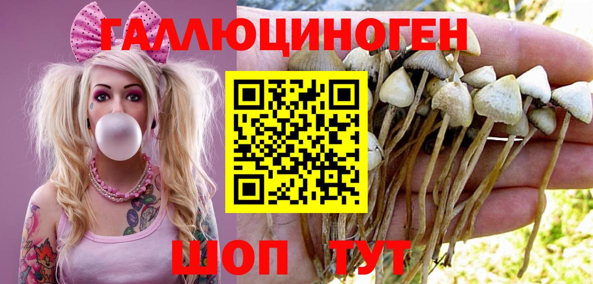 Галлюциногенные грибы мицелий  Галлюциногенные грибы мицелий  Вход с VPN  Черняховск 
