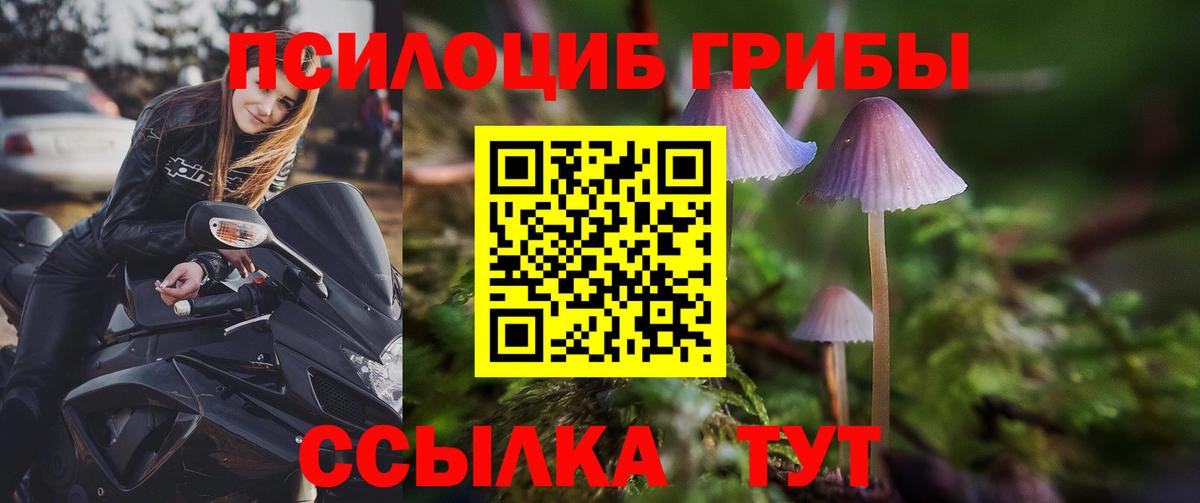 Псилоцибиновые грибы MAGIC MUSHROOMS Черняховск